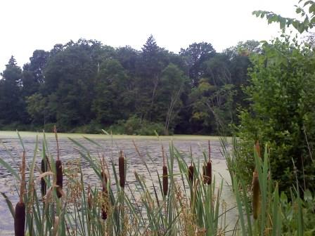 Lake at Duke Farms, Hillsborough
